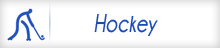 hockey2